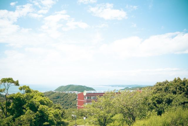 view
