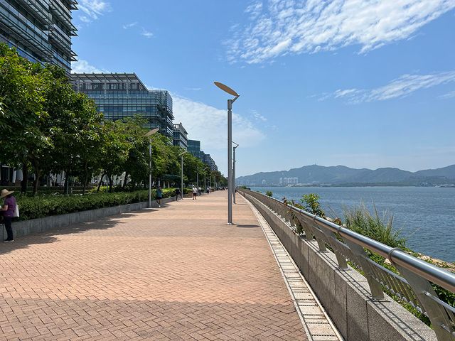 view