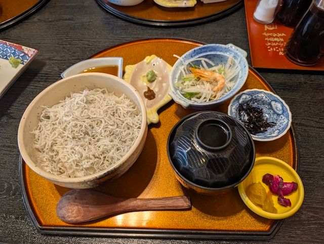 しらす丼